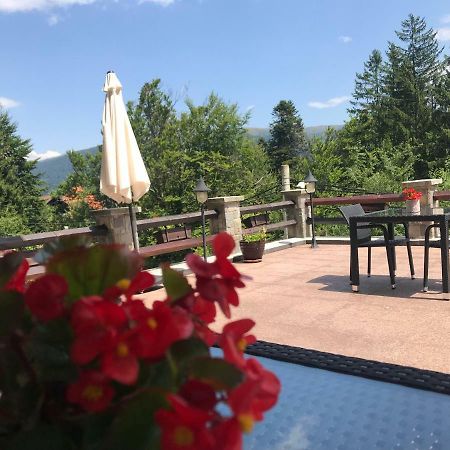 Hotel Vila Terase à Sinaia Extérieur photo
