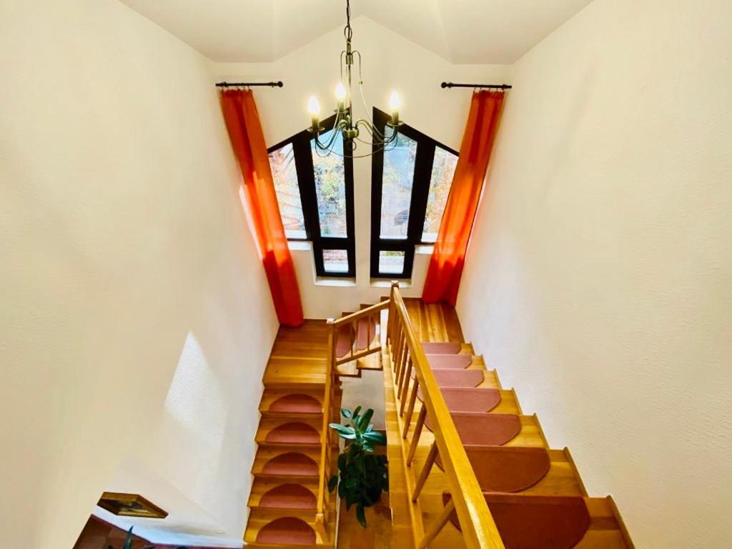 Hotel Vila Terase à Sinaia Extérieur photo