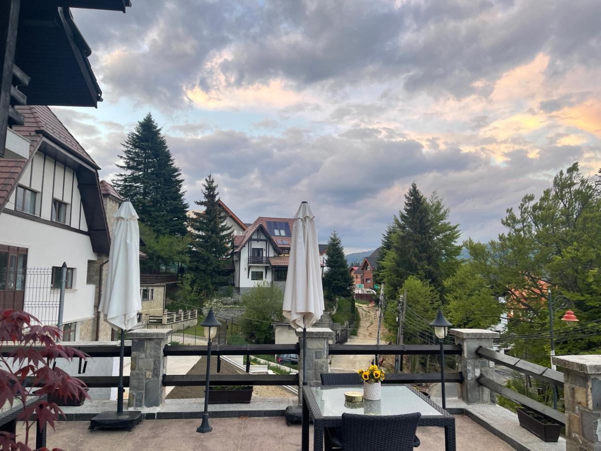 Hotel Vila Terase à Sinaia Extérieur photo