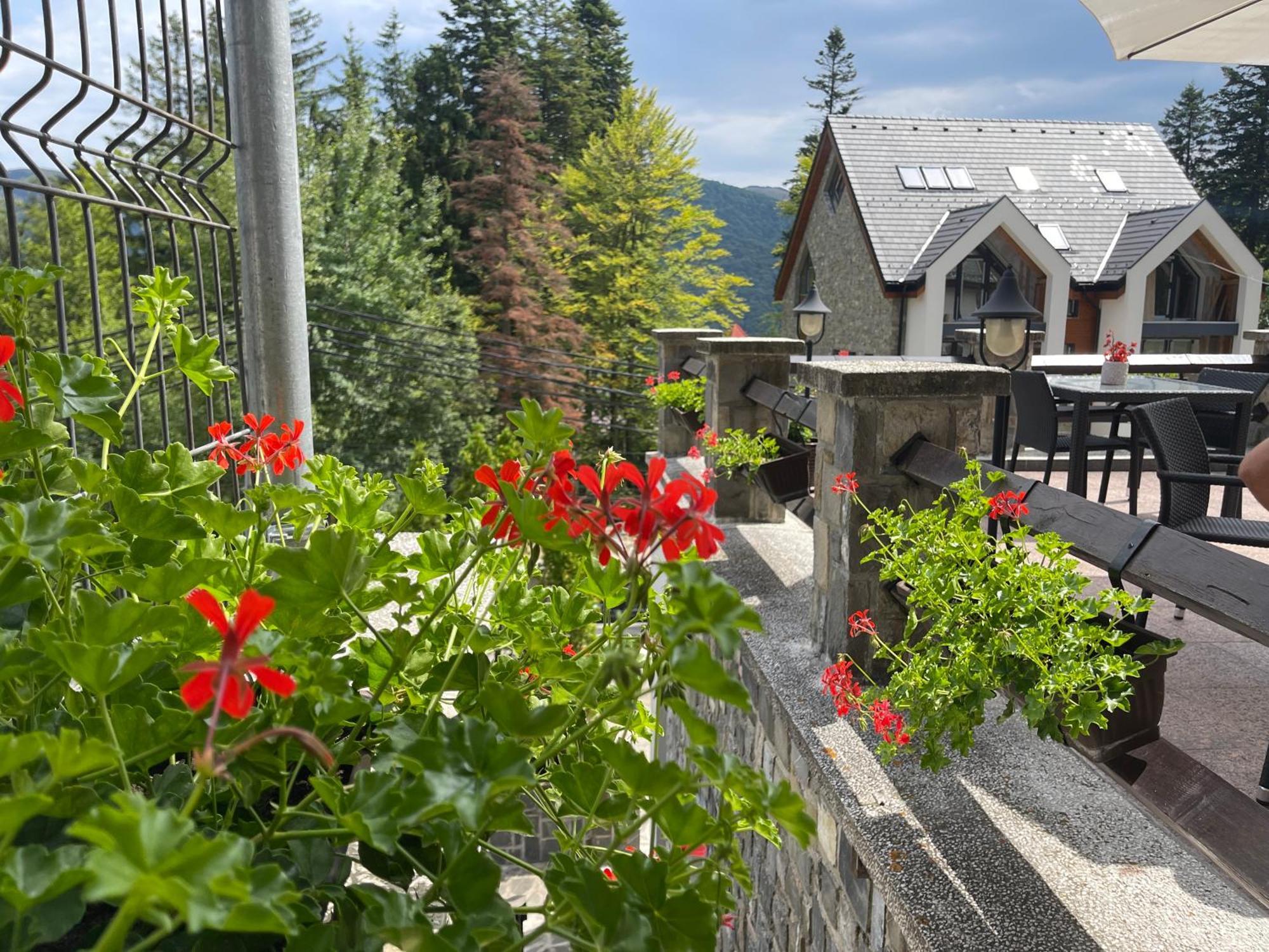 Hotel Vila Terase à Sinaia Extérieur photo