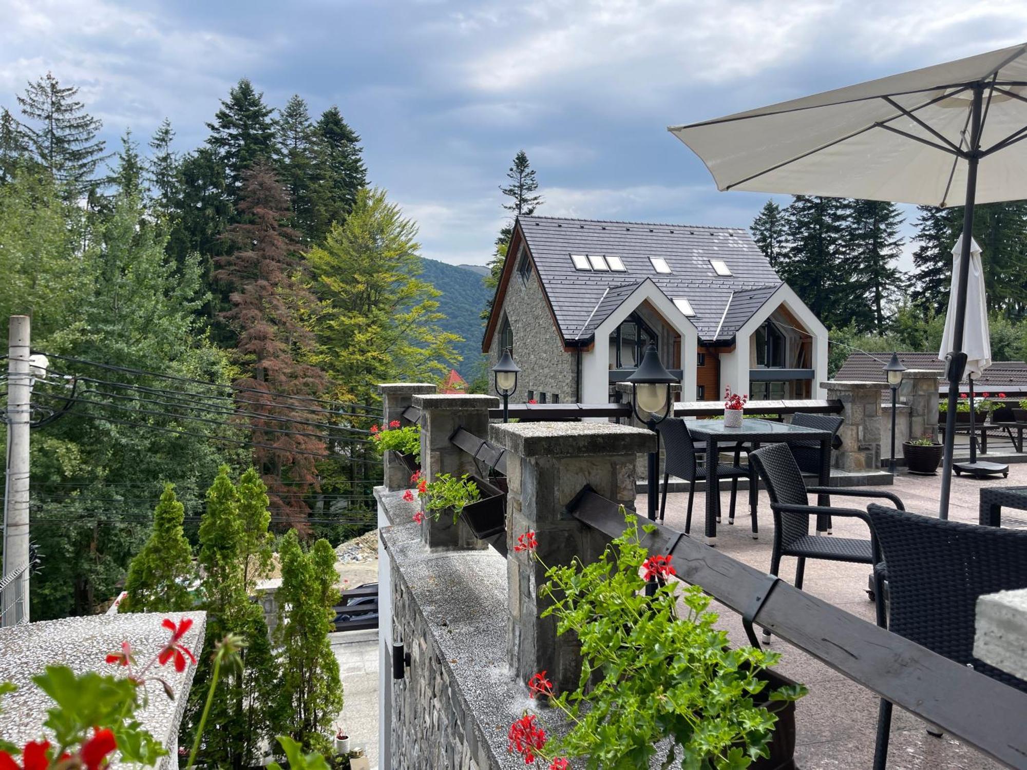 Hotel Vila Terase à Sinaia Extérieur photo