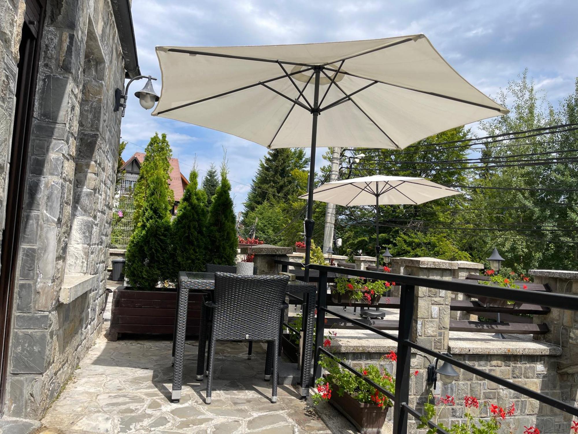 Hotel Vila Terase à Sinaia Extérieur photo