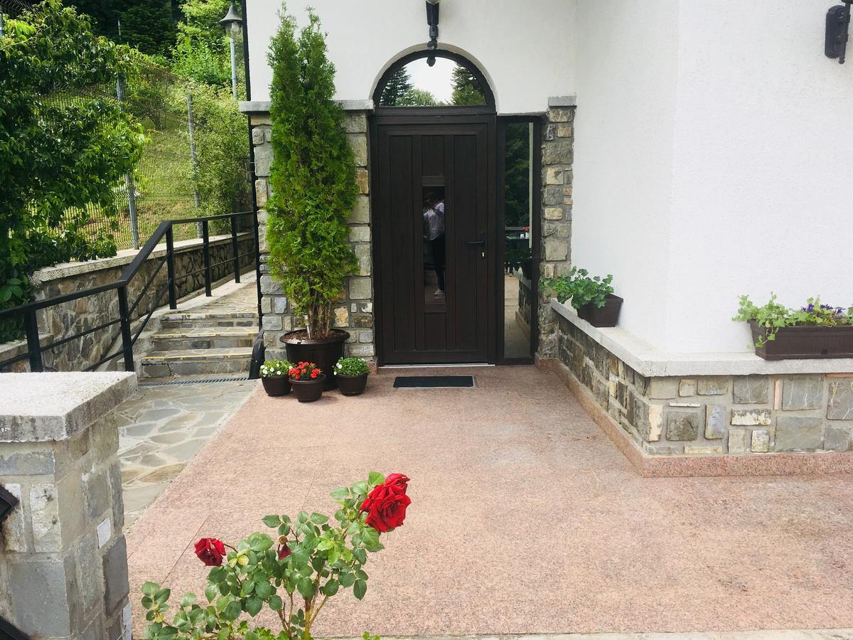 Hotel Vila Terase à Sinaia Extérieur photo
